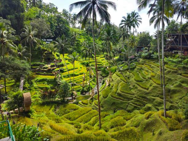 istock Travel to Bali Island 2193180228