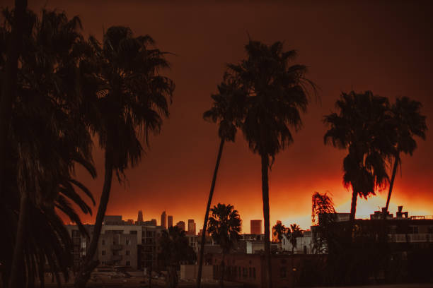 Palisades fire view from Koreatown during sunrise taken from my rooftop