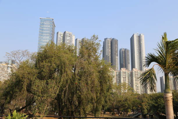 istock A city skyline with a large tree in the foreground 2193192860