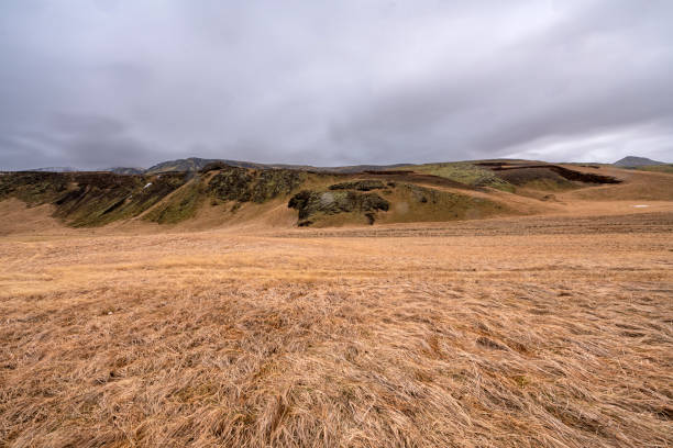 Panoramic view of meadow field with mountain range landscape in Iceland. Nature, travel, winter background, or wallpaper