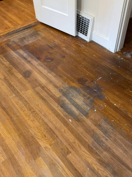 istock Damaged one hundred year old hardwood floors 2193196566