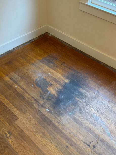 istock Damaged one hundred year old hardwood floors 2193196568