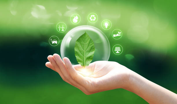 istock Hand holding green leaf with plant environment icon, Save world, sustainable environment concept. 2193199472