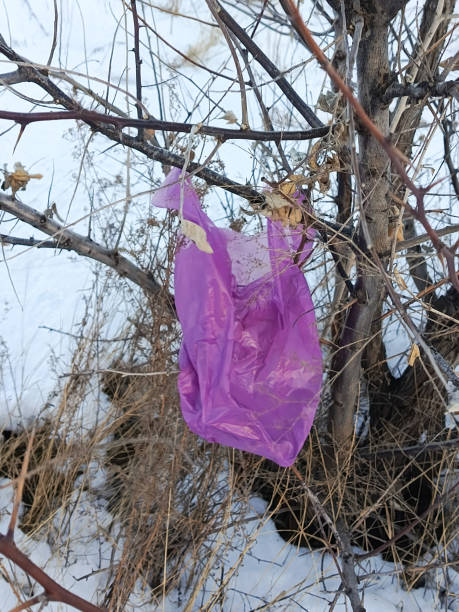 istock A plastic bag on a tree. Recycling and recycling of garbage. Slowly decomposing materials. Negative impact on the environment. 2193200571