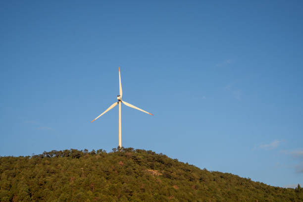 Under the blue sky, a wind turbine in the forest on the hillside