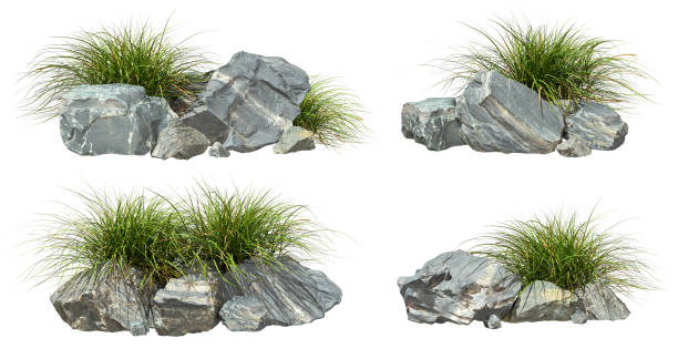 istock Grey rocks composition and grassy growth cutout on white backgrounds 3d rendering 2193204318