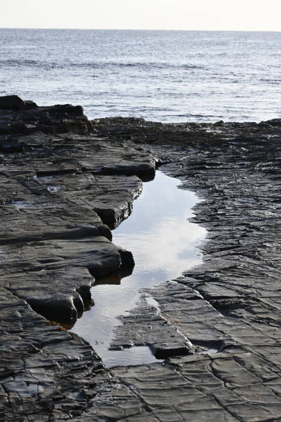Free Stock Photo of Rock Pool Background | Download Free Images and ...
