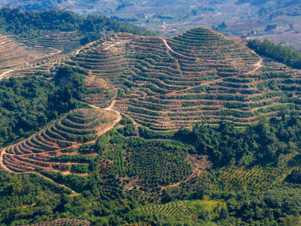istock Daguangba, Dongfang City, Hainan 2193207060