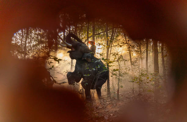 Through the leaf, Mahout and Elephant in Morning Light, Riding Through the Forest, Embracing the Tranquil Village Life with Elephants