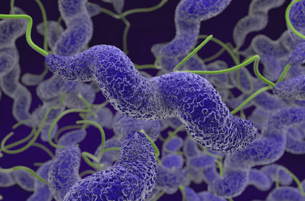 Campylobacter jejuni bacteria - 3d illustration closeup view stock photo