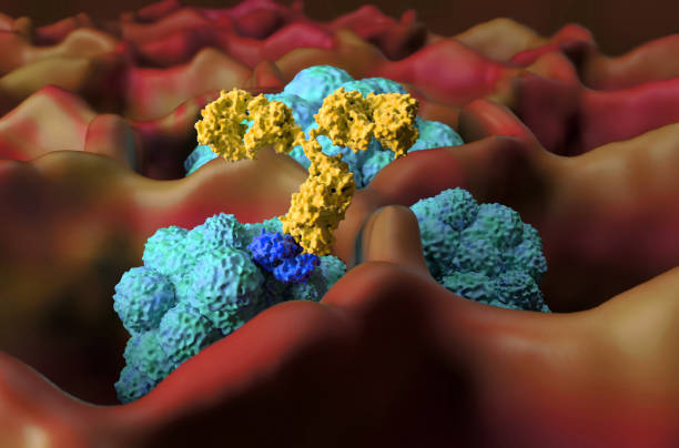 istock Monoclonal antibody therapy in lung cancer (LC) - closeup view 3d illustration 2193215419