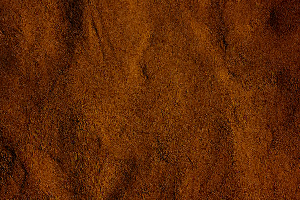 istock Rich Textured Brown Surface with Abstract Natural Patterns and Earthy Tones 2193217190