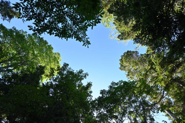 istock Climbing Mt. Aizu-Komagatake, Fukushima 2193220051
