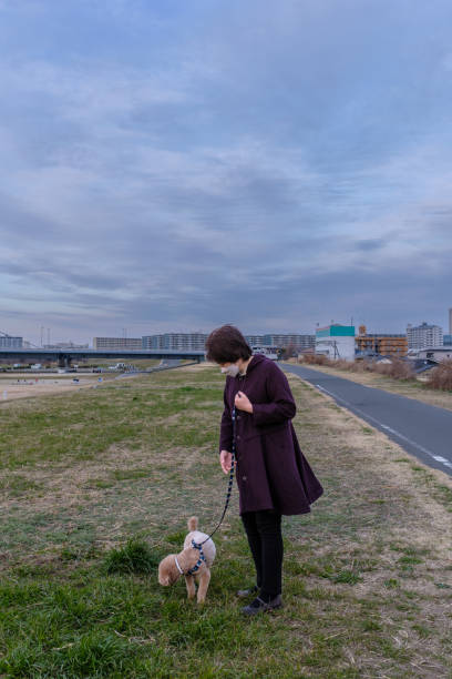 istock A woman looking at the same point as a toy poodle. 2193222054