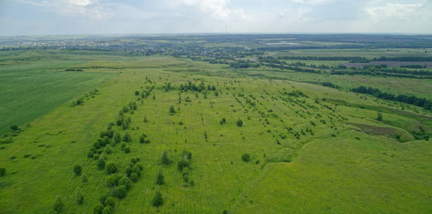 istock Large field of grass with a few trees scattered throughout 2193222138