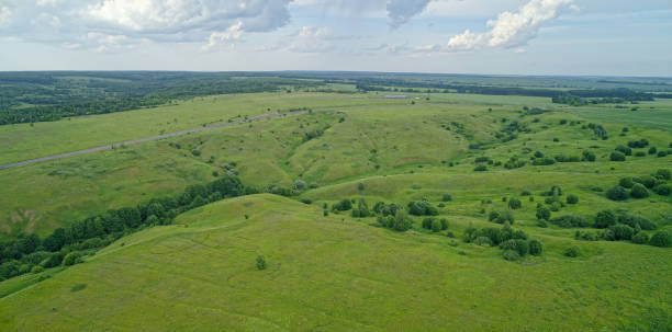 istock Large field of grass with a few trees in the background 2193222210