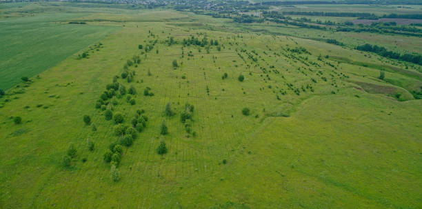 istock Large field of grass with trees in the background 2193222325