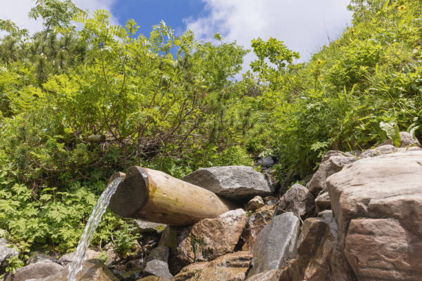 A water spring in the mountains, where clean, clear water flows from a bamboo pipe into a small stream among rocks and green plants.