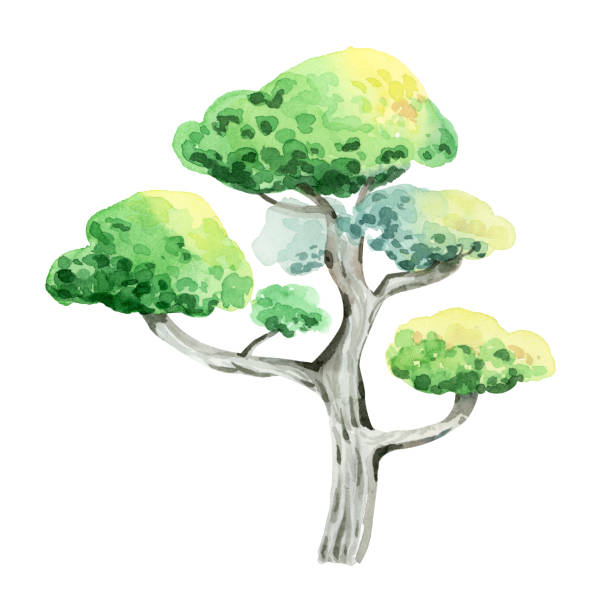 istock Illustration of a watercolor tree with a yellow green crown 2193222445