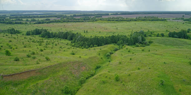 istock Large field of grass with a small river running through it 2193222477