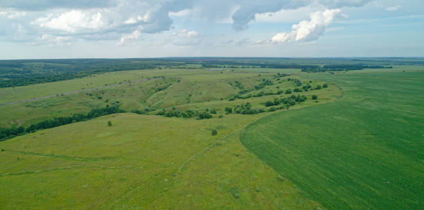 istock Large green field with a few trees in the background 2193222488