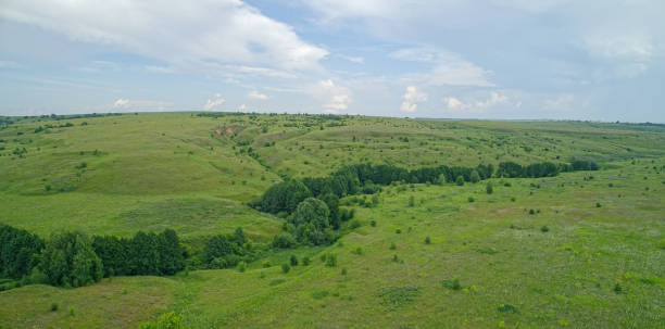 Large, open field with a few trees and a few bushes