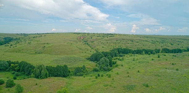 istock Large, open field with a few trees scattered throughout 2193222493