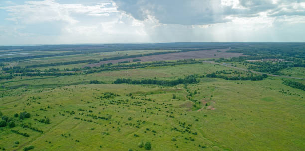 istock Large, open field with a few trees scattered throughout 2193222695