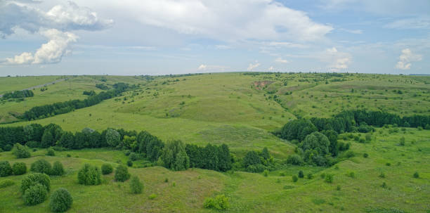 istock Large, open field with a few trees scattered throughout 2193222699