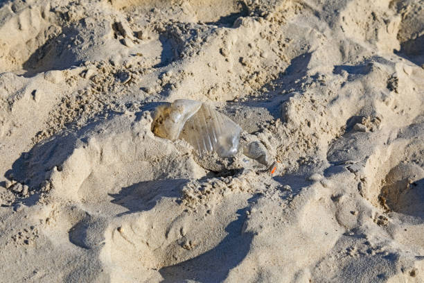 This is an unexpected empty crumpled bottle lying in the sand on the beach on the coast of the Baltic Sea in the city of Sopot, Poland.