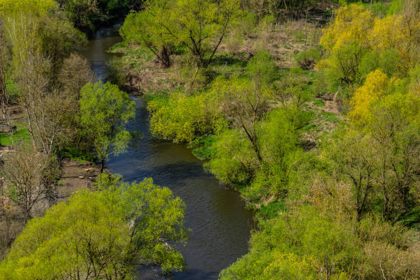 A vibrant landscape features a winding river surrounded by fresh green foliage and trees, reflecting the beauty of spring. The peaceful scene showcases nature's rejuvenation.