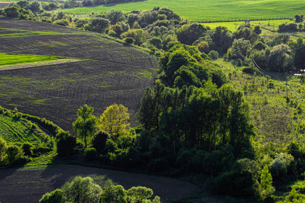 Green fields and trees create a vibrant countryside landscape, illuminated by sunlight in summer. The area features rich vegetation and rolling terrain, showcasing natural beauty.