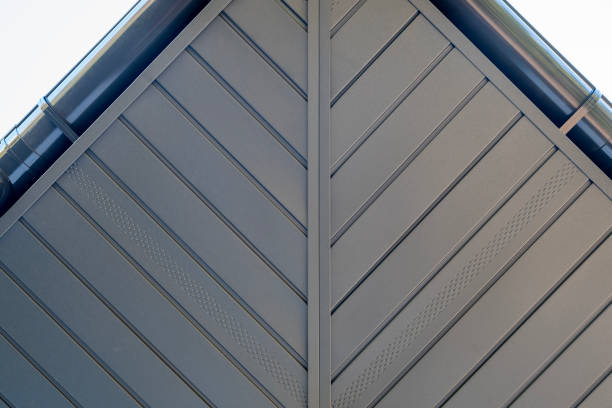 istock Metal soffit and plastic gutters blend modern design with sky views 2193225629