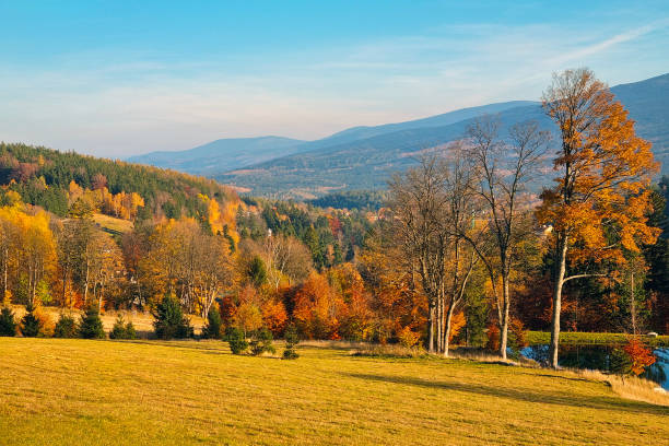 A picturesque autumn landscape featuring rolling hills covered in a vibrant palette of fall foliage, under a clear blue sky. the scene captures a serene and colorful natural setting ideal for seasonal designs.