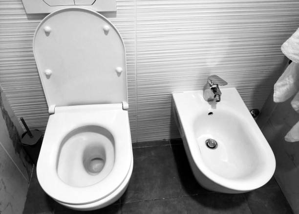 istock Modern Bathroom Essentials: Toilet and Bidet Design for Home Renovation Ideas 2193233478