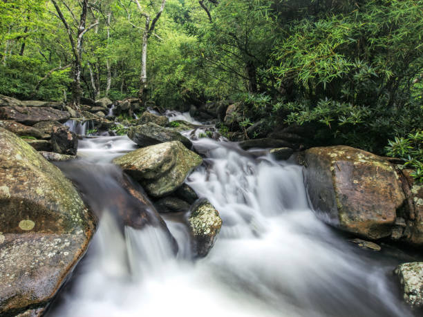 istock Cascade above Chung Mei in northeast New Territories 2193235852