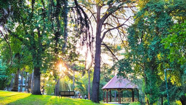 istock Pagola in the park 2193238613