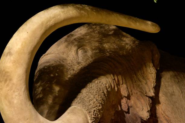 istock Mamut Park Ciutadella Barcelona night 2193240633