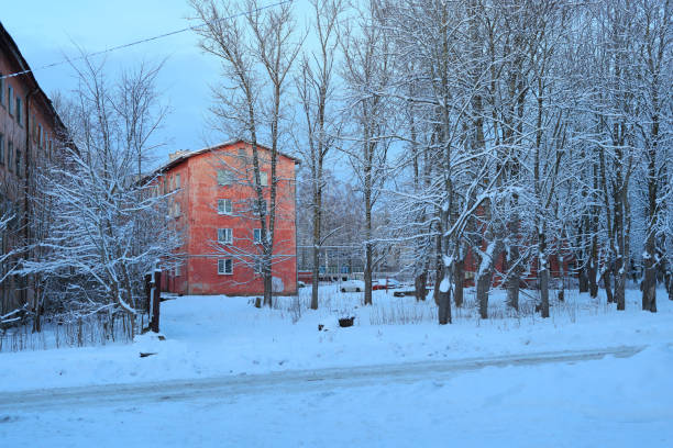 A picturesque and serene winter scene showcasing beautiful snowcovered trees alongside a vibrant colorful building