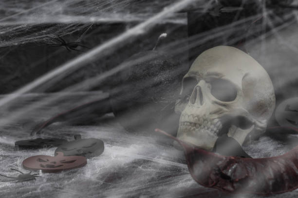 Creepy Halloween composition. Creative background, traditional symbols. Decorative skull, candles, spider web, pumpkins and bats. Dark atmosphere mood