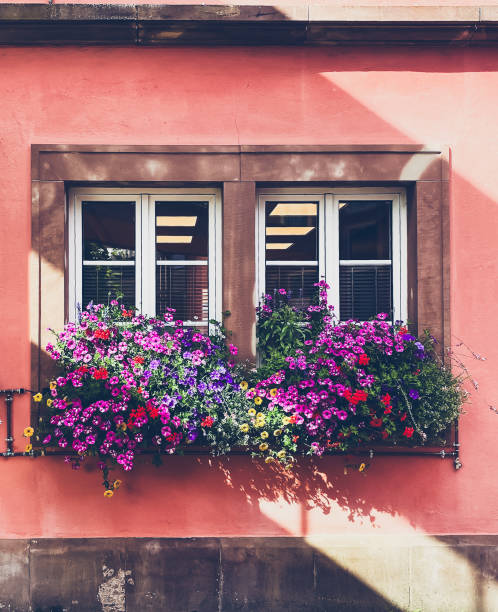 House with bougainvillea and pink bay window in Alaçatı, Izmir