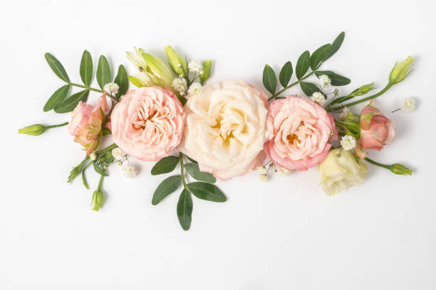 istock floral layout of pink roses on a white background. Top view 2193251974