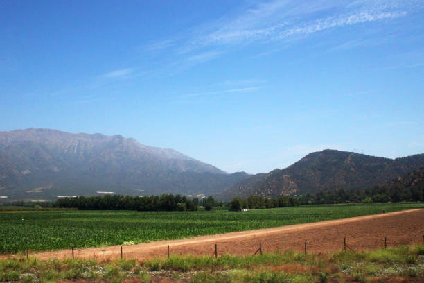 Rural landscape with crops and mountains