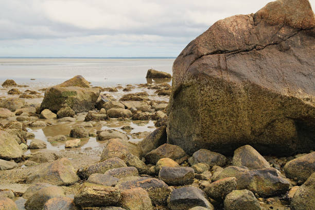 istock Rocks and Boulders Exposed Along the Shoreline at Low Tide 2193257370