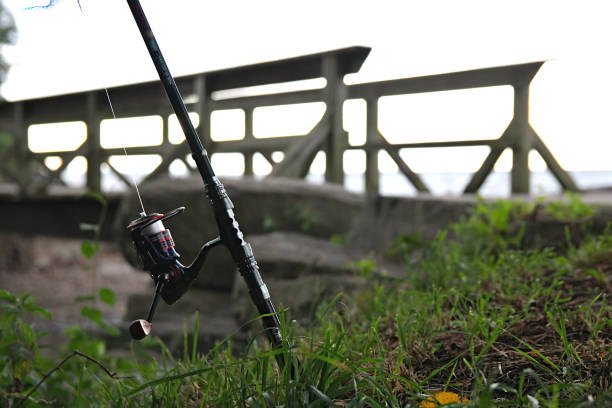 istock Fishing Reel Leaning Against Tree Near Bridge 2193258131