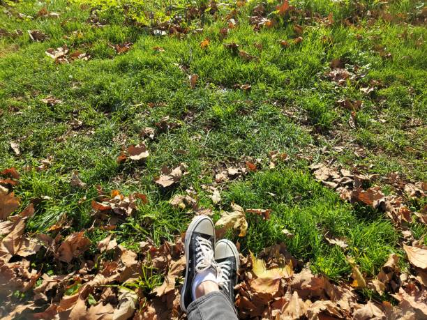 A peaceful moment captured from a first-person perspective, showing someone sitting on a grassy field covered with scattered autumn leaves. The sunlight gently illuminates the vibrant green grass and the brown, dry leaves, creating a warm and cozy atmosphere. The casual sneakers and relaxed posture convey a sense of calm and leisure, reflecting a quiet escape into nature during the fall season.