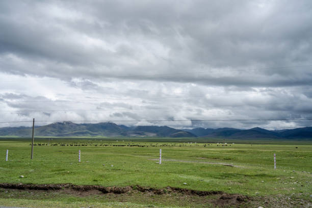 istock Plateau mountains and grass on a cloudy day 2193261274