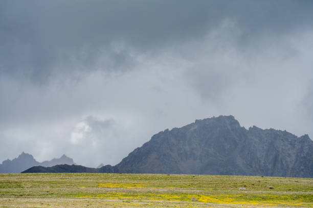 Plateau mountains and grass on a cloudy day