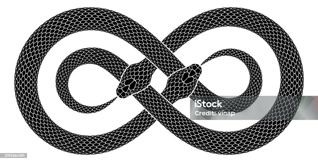 Double Infinity Snake Vector Tattoo Design Of Two Intersecting Snakes Biting Their Tails In ...