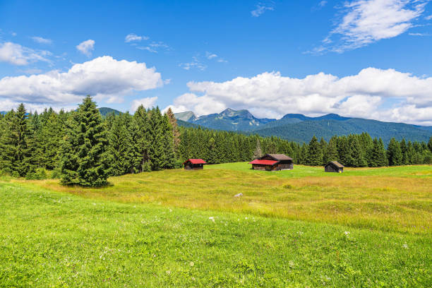 Hay hut in the Humpback Meadows between Mittenwald and Kruen, Germany.